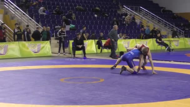 Orenburg Rússia Março 2017 Jovens Sexo Masculino Competem Wrestling Esportivo — Vídeo de Stock