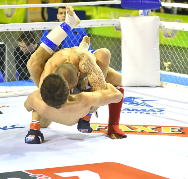 Orenburg Rússia Fevereiro 2017 Ano Lutadores Competem Artes Marciais Mistas — Fotografia de Stock