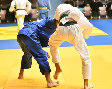 İki kimonolu judoka tatamide yarışıyor. 