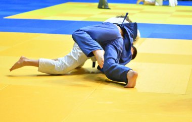 İki kimonolu judoka tatamide yarışıyor. 