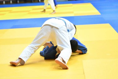 İki kimonolu judoka tatamide yarışıyor. 