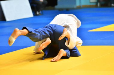 İki kimonolu judoka tatamide yarışıyor. 