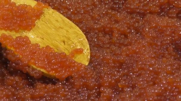 Caviar Vermelho Peixe Nerka Latim Oncorhynchus Nerka Peixe Família Salmão — Vídeo de Stock
