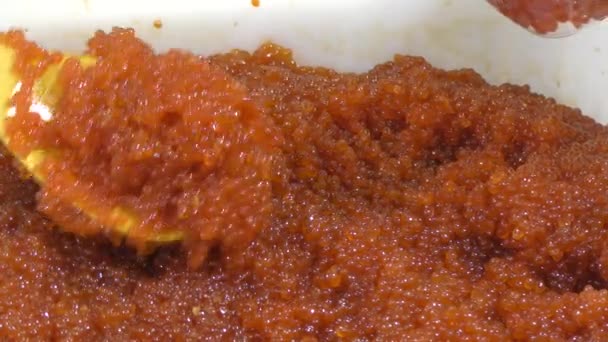 Caviar Rojo Pescado Nerka Latín Oncorhynchus Nerka Peces Familia Los — Vídeos de Stock