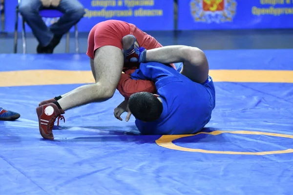 Orenburg Rússia Outubro 2019 Competições Meninos Autodefesa Sem Armas Campeonato — Fotografia de Stock