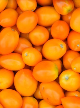 Yeni hasadın olgunlaşmış domatesleri pazarda satılıyor. 