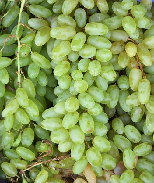 Uvas Maduras Nova Colheita São Vendidas Bazar — Fotografia de Stock