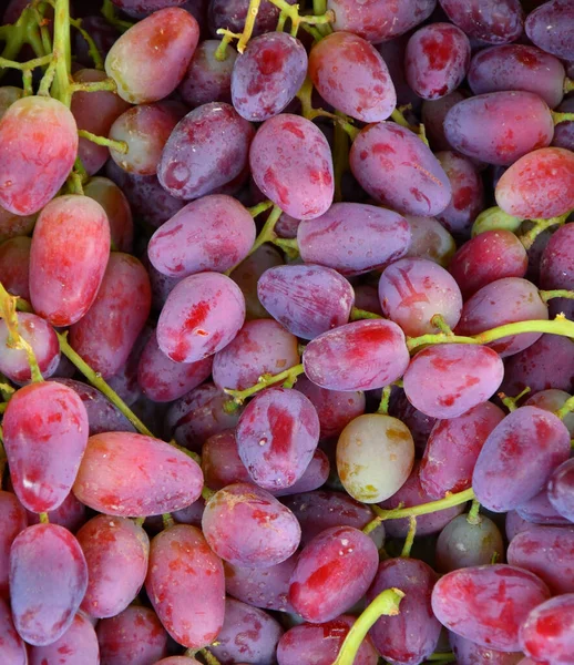 Ripe Grapes New Harvest Sold Bazaar — Stock Photo, Image