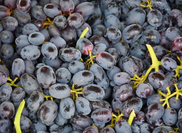 Uvas Maduras Nova Colheita São Vendidas Bazar — Fotografia de Stock