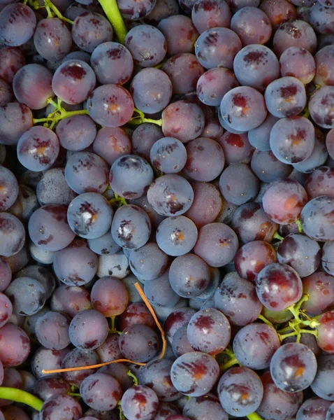Ripe Grapes New Harvest Sold Bazaar — Stock Photo, Image