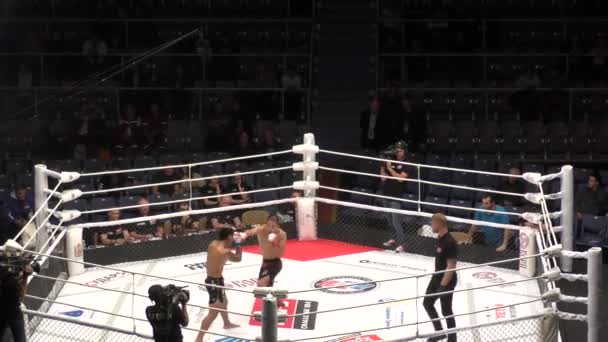 Orenburg Rusya Ağustos 2019 Erkekler Uluslararası Dövüş Sanatları Turnuvası Mma — Stok video