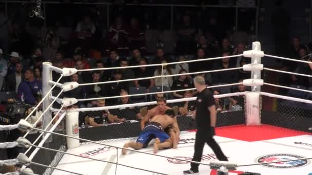 Orenburg Rusya Ağustos 2019 Erkekler Uluslararası Dövüş Sanatları Turnuvası Mma — Stok video