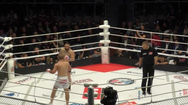 Orenburg Rusya Ağustos 2019 Erkekler Uluslararası Dövüş Sanatları Turnuvası Mma — Stok video