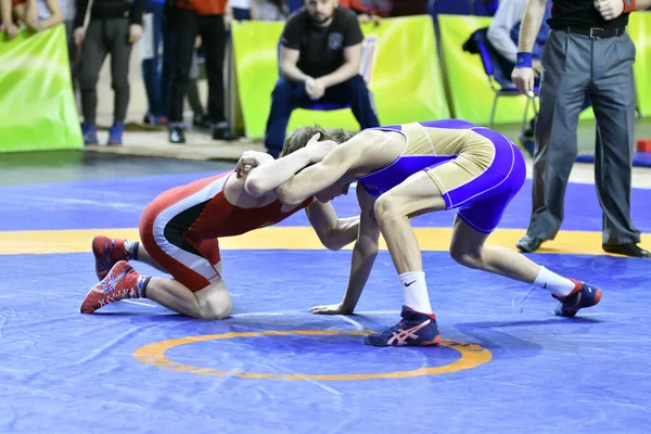 Orenburg Russia March 2017 Boy Compete Sports Wrestling Volga Federal — Stock Photo, Image