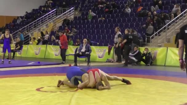 Orenburg Russia March 2017 Boy Compete Sports Wrestling Volga Federal — Stock Video