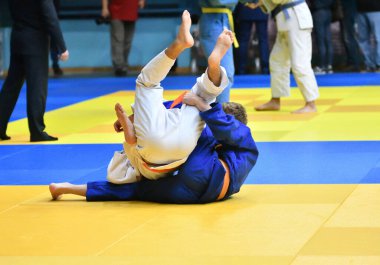 İki kimonolu judoka tatamide yarışıyor. 
