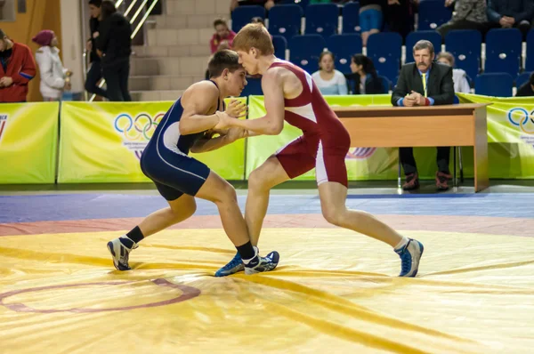 Youth competitions on sporting wrestling — Stock Photo, Image