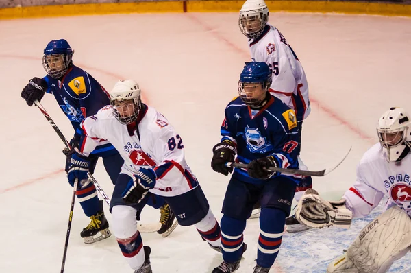 Hockey con el disco . —  Fotos de Stock