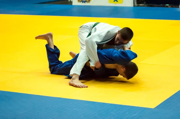 Junge Männer im Judo — Stockfoto