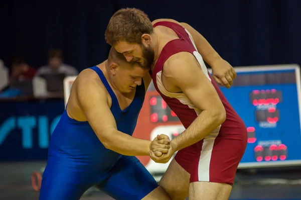 Sports wrestling — Stock Photo, Image