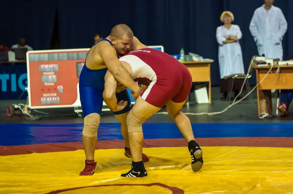 Sports wrestling — Stock Photo, Image