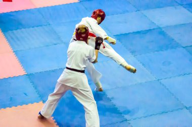Open karate Turnuvası kiokusinkaj