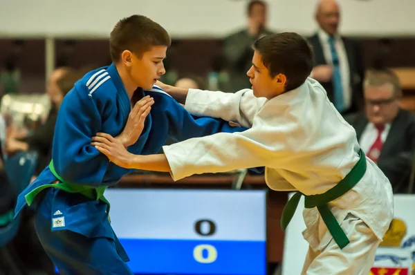 Två judoka — Stockfoto