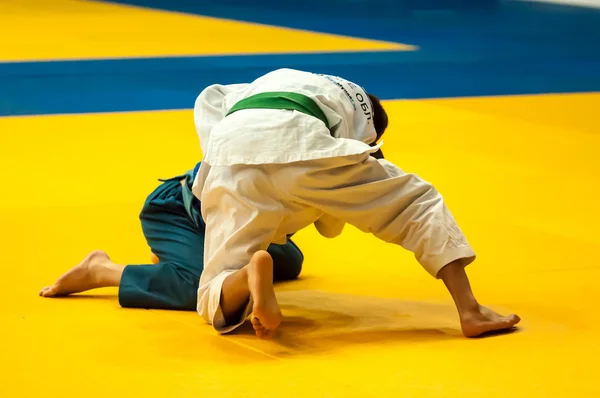 Twee judoka — Stockfoto