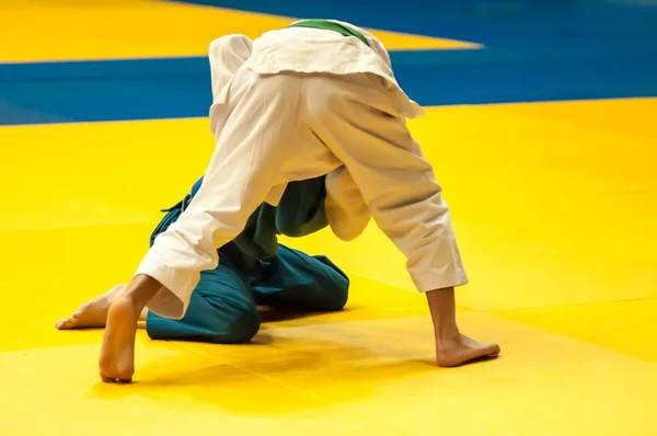 Két judoka — Stock Fotó