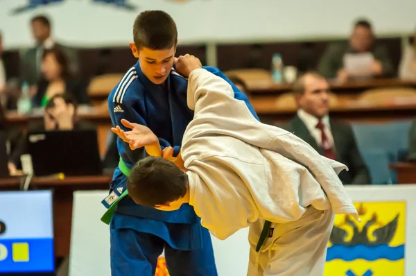 Két judoka — Stock Fotó