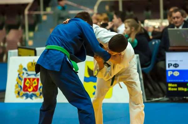 Két judoka — Stock Fotó