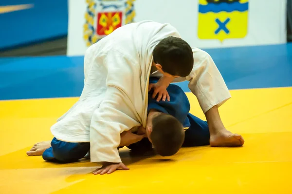 Două judoka — Fotografie, imagine de stoc