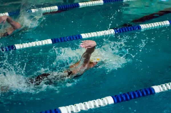 Swimming competition — Stock Photo, Image