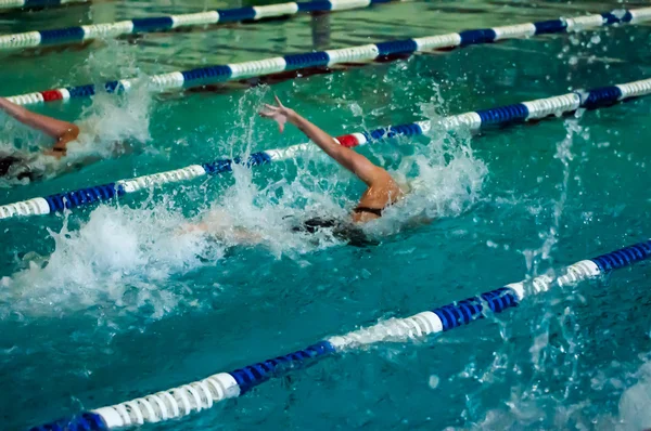 Schwimmwettbewerb — Stockfoto