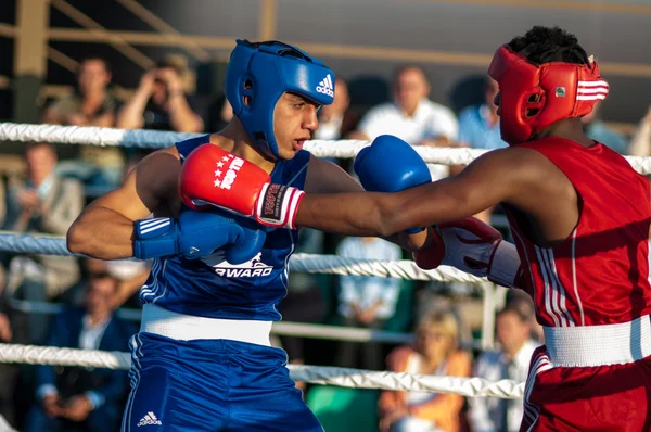 Boxers luta — Fotografia de Stock
