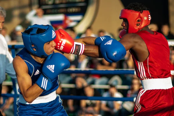 Fight boxers — Stock Photo, Image