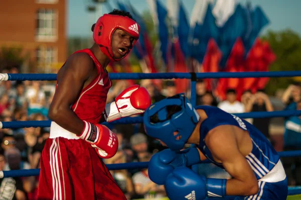Boxers luta — Fotografia de Stock