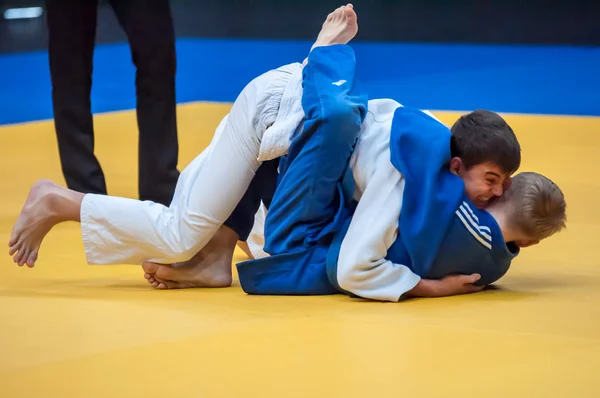 두 judoka — 스톡 사진