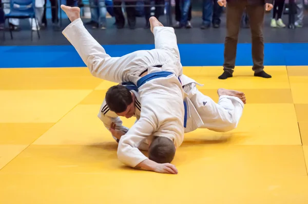 Due judoka — Foto Stock