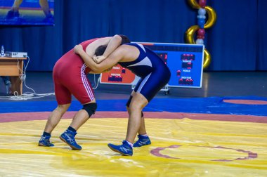 Güreş yarışmaları