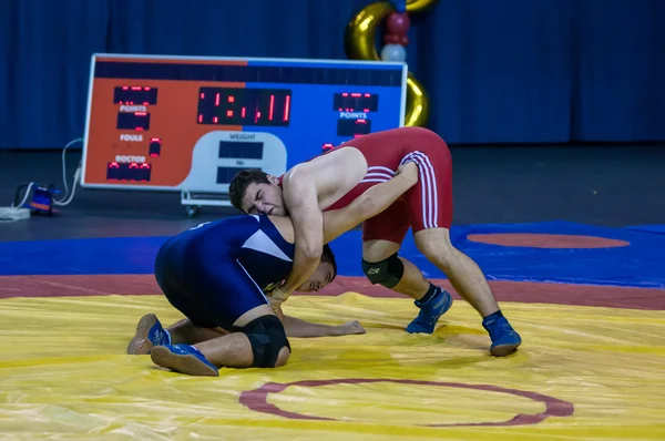 Competitions on wrestling — Stock Photo, Image