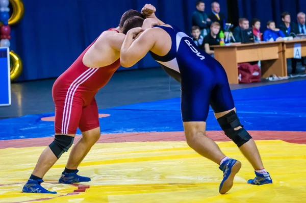 Competitions on wrestling — Stock Photo, Image