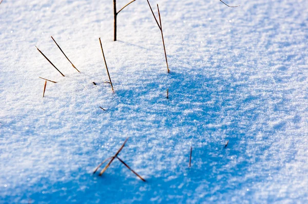 Neige dans la nouvelle année — Photo