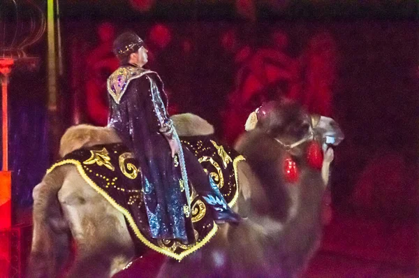 Tamer dans le cirque et son charmant assistant dans l'attraction "Le conte de l'Est " — Photo