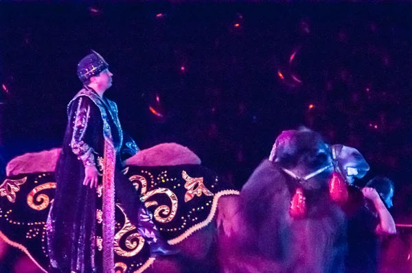 Tamer en el circo y su encantador asistente en la atracción "El cuento del este " —  Fotos de Stock