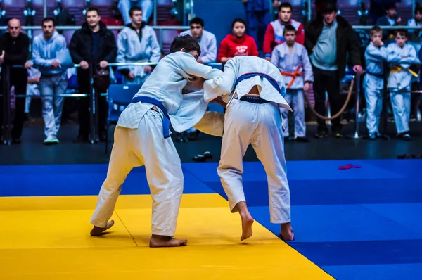 Due judoka , — Foto Stock