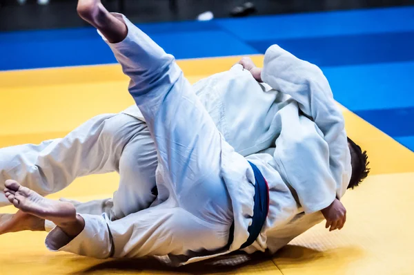 두 judoka, — 스톡 사진