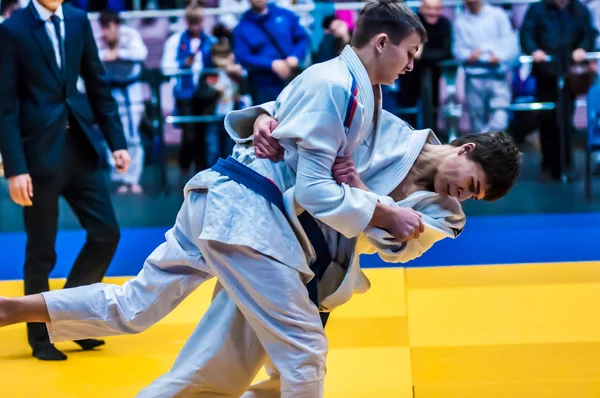 Due judoka , — Foto Stock
