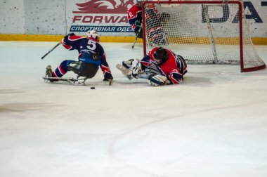 Buz kızak hokey oyunu