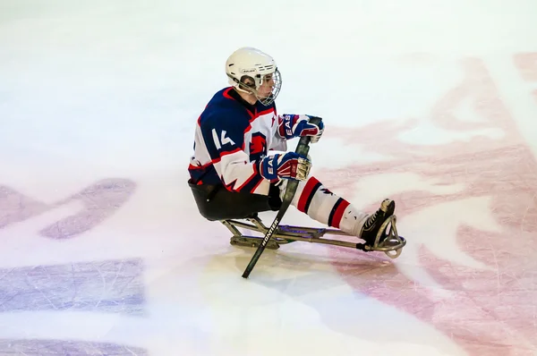 Hra v sledge hokejový — Stock fotografie